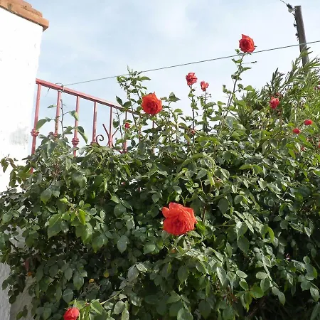 Cueva Rosas-vtar/gr/02108 Apartment Guadix